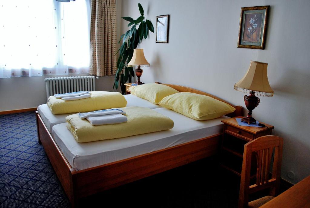 Hotel Patria Trutnov Rum bild