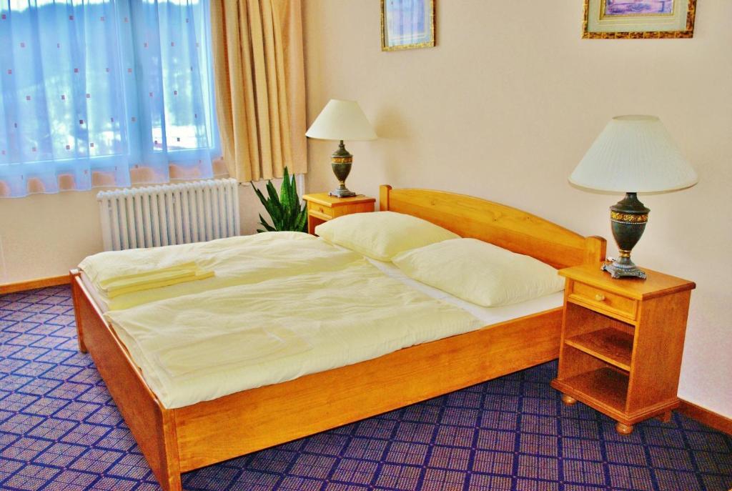 Hotel Patria Trutnov Rum bild